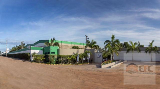 Galpão para alugar, 1164 m² por r$ 20./mês - parque de exposições - parnamirim/rn - Foto 5