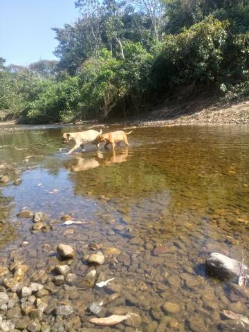 Sítio em Livramento - Foto 4