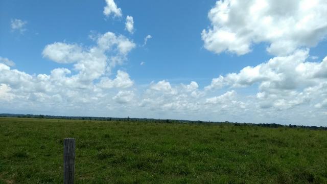 Fazenda 1.028 Hectares Dupla Aptidão - Nova Guarita - MT