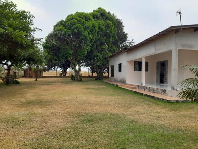 Vende-se Sítio - Foto 14