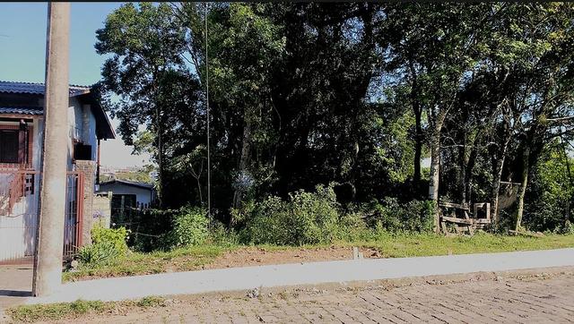 Terreno no Bairro Cidade Nova em promoção -(cod.266880) - Foto 2