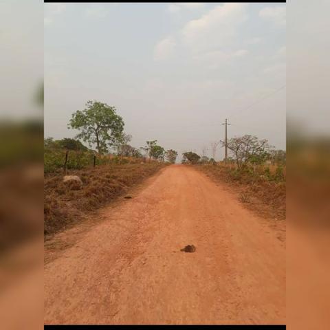 Sítio com área de 15,5hectares , Região da guia - Foto 9