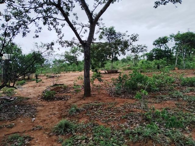 Elci Martins Vende Fazendinha em Três Marias, 50.000m2, água e luz - Foto 13