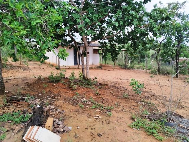 Elci Martins Vende Fazendinha em Três Marias, 50.000m2, água e luz - Foto 5