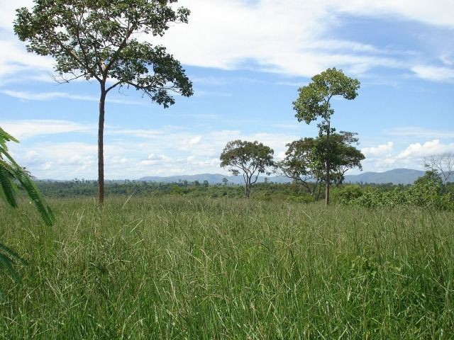 Fazenda 484 hectares em Governador Valadares/MG - Foto 7