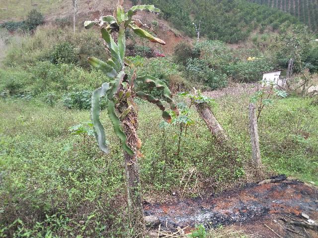 Excelente terreno em contendas S J V do Rio preti - Foto 3