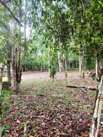 Lote/Terreno para venda com 2800 metros quadrados com 1 quarto - Foto 2