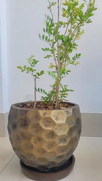 Vaso de Fibra Dourado com Murta