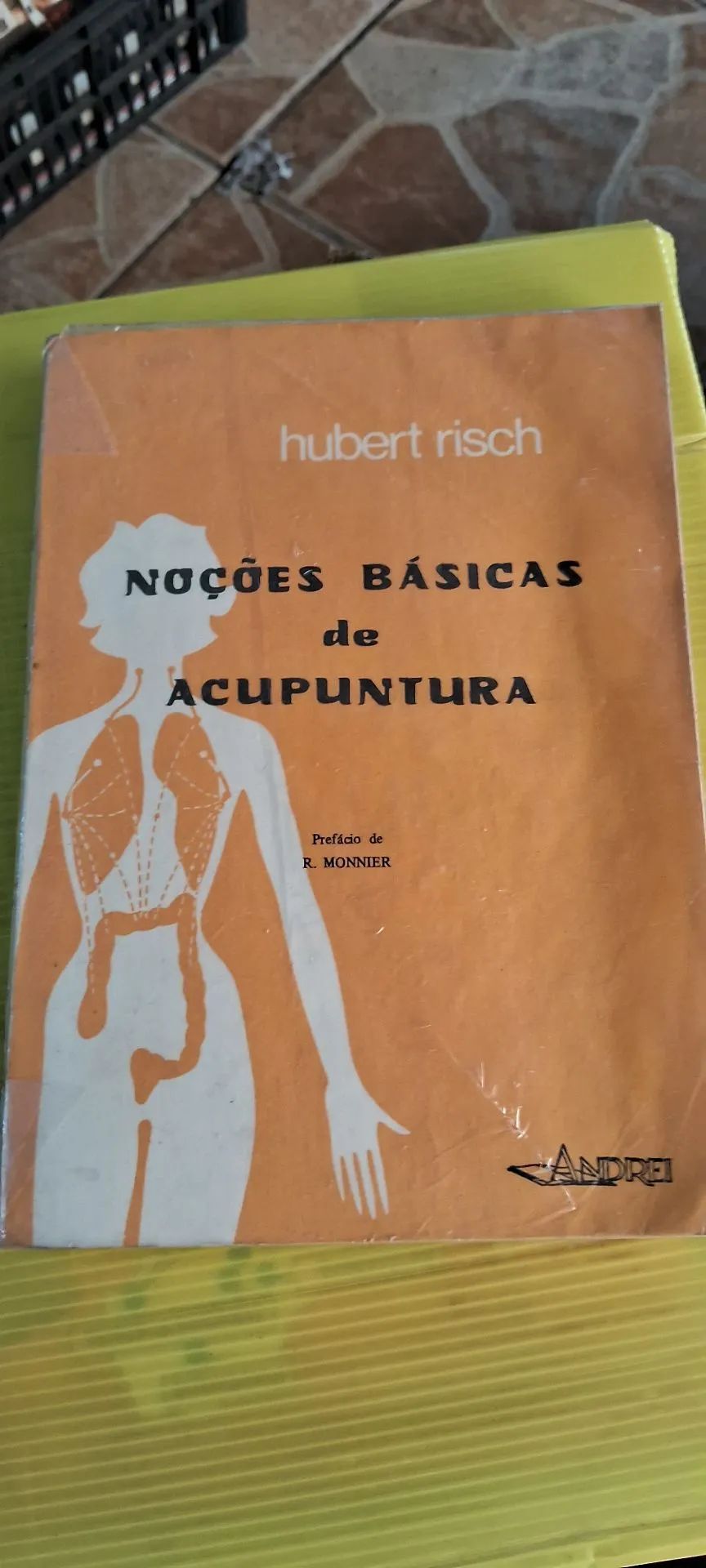 Livro Noções Básicas de Acupuntura - Hubert Risch