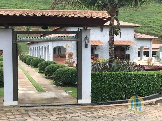 SÍTIO À VENDA  SÃO MIGUEL DO ANTA/MG - Foto 5