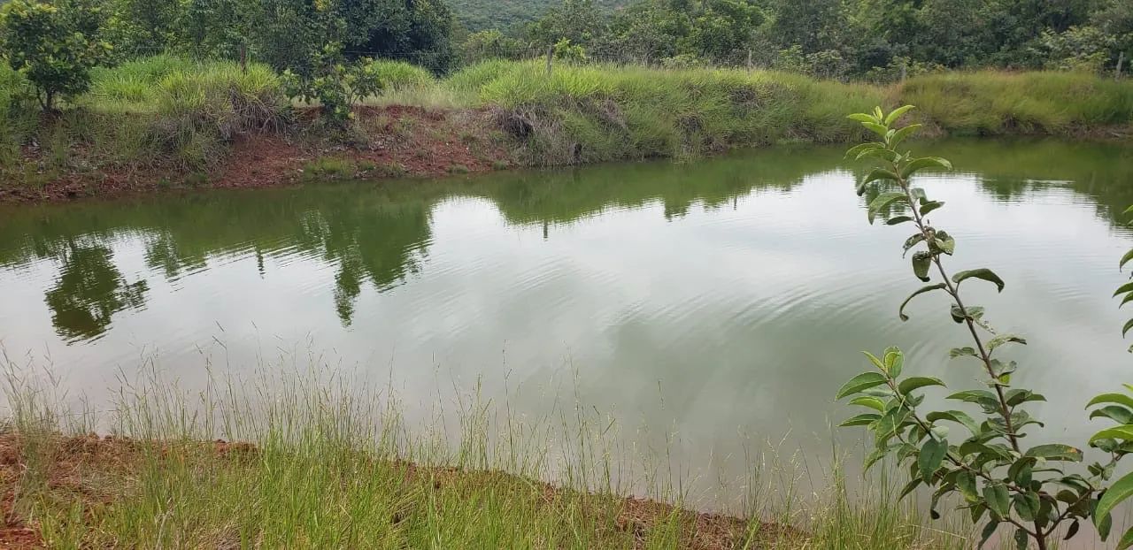 Fazenda campina verde dupla  - Foto 5