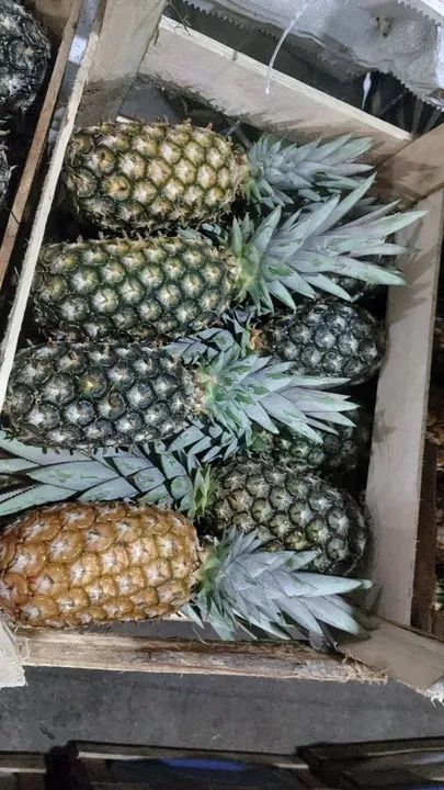 Banana Nanica e Prata - Foto 4