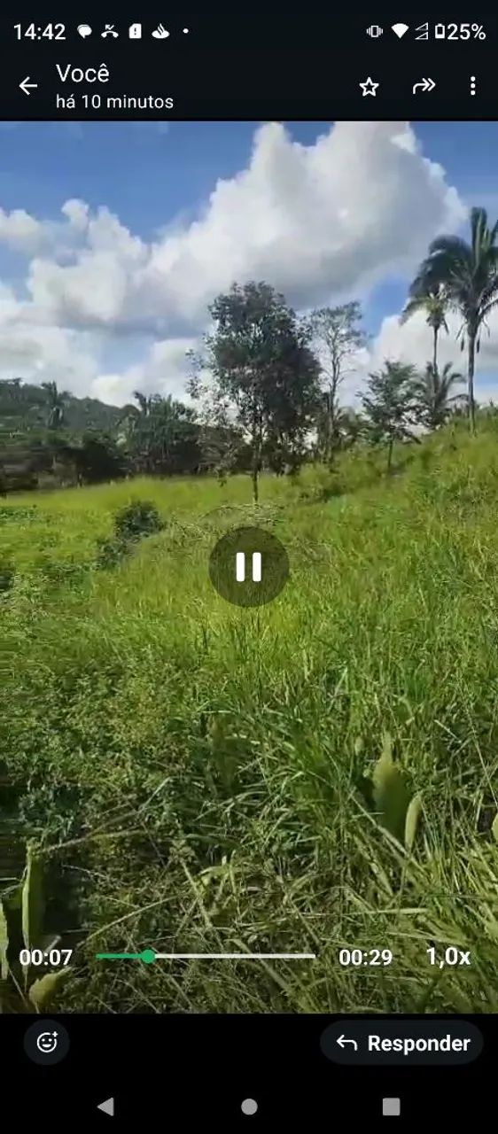 Chácara a venda  valor 600 mil. 1 alqueire  - Foto 5