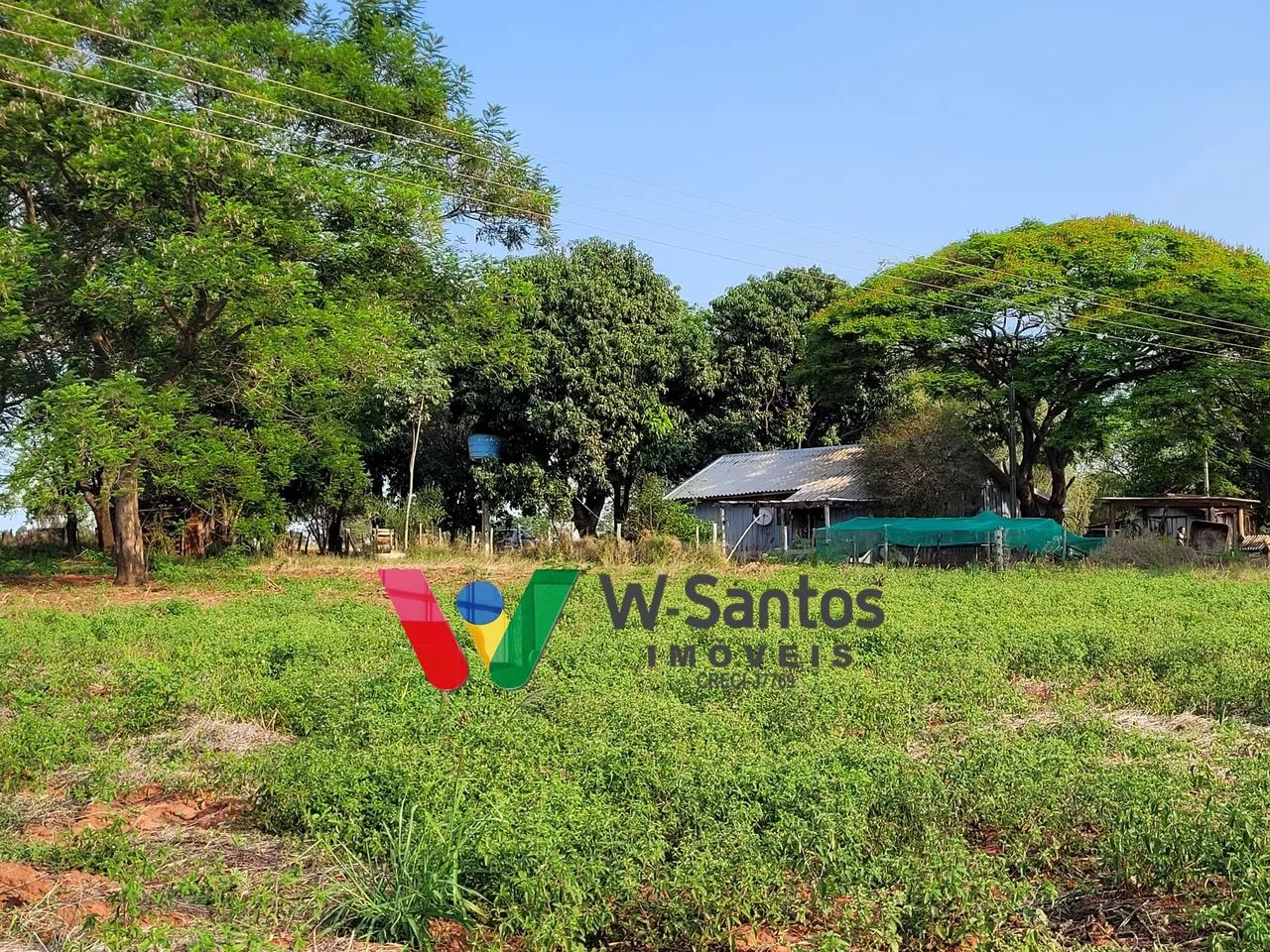 Sítio 3 alqueires próximo a Porto São José e São Pedro - Foto 5