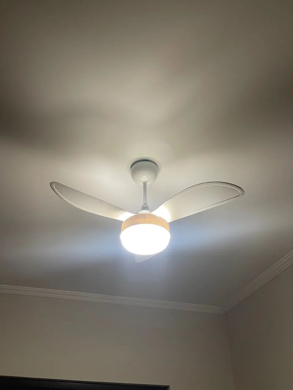 Ventilador De Teto Ventisol Fenix