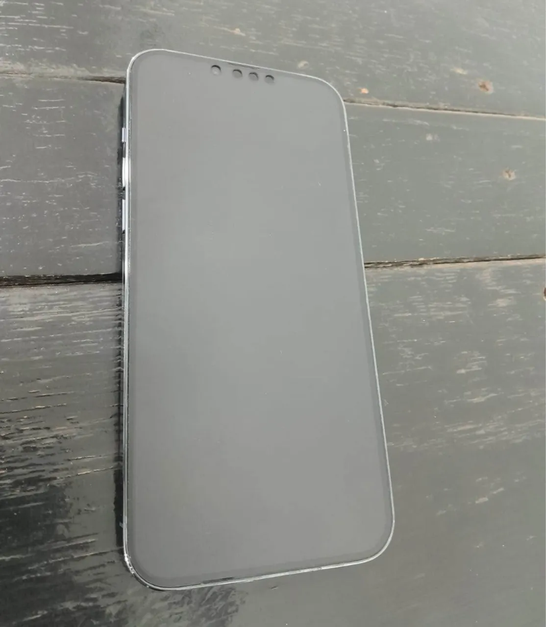 iPhone 13 Pro Max - Azul com detalhe na tampa traseira