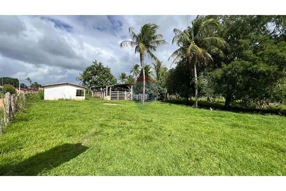 Vende sítio com 15 tarefas no Povoado Rio Verde - Areia Branca