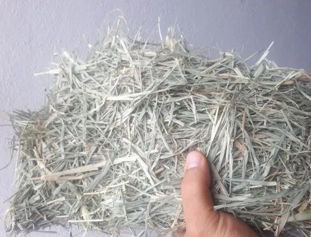 Fardo de Feno tifton tipo A - ensacado 20kg