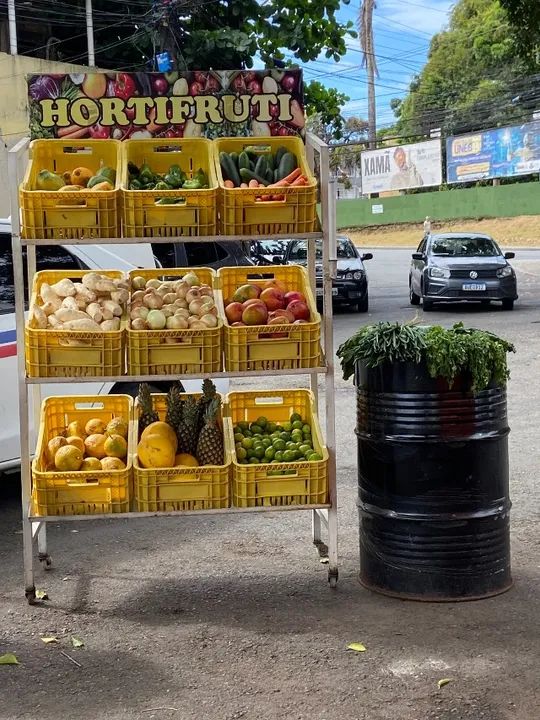 Expositor de Frutas - Foto 2