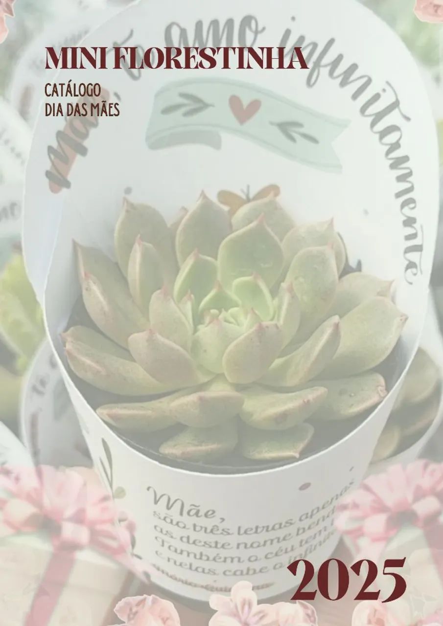 Plantas para Dia das Mães: suculentas, orquídeas, plantas ornamentais, ervas, kokedamas...