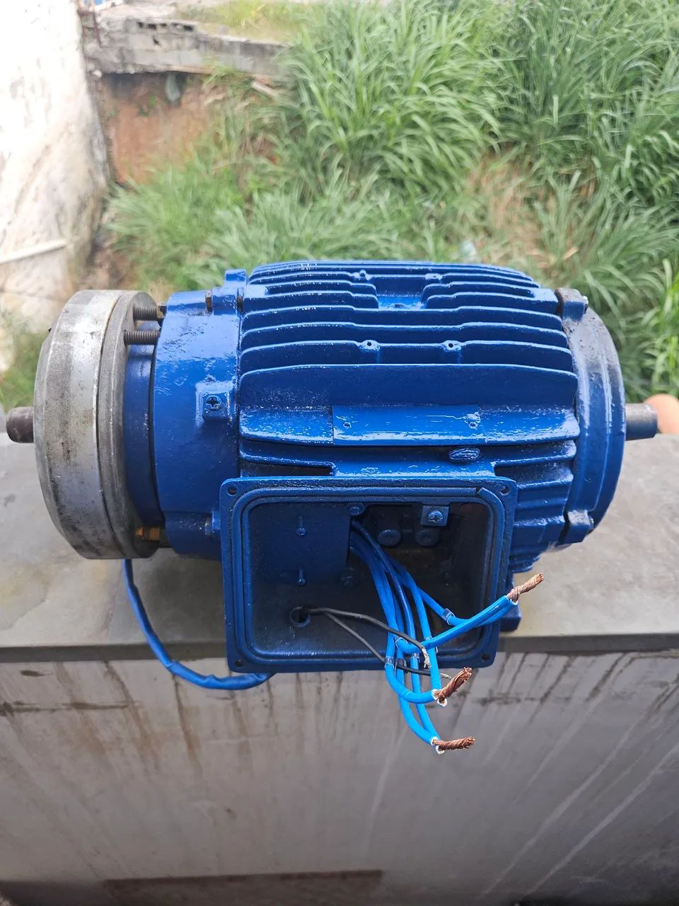Motor Elétrico Azul - Foto 2