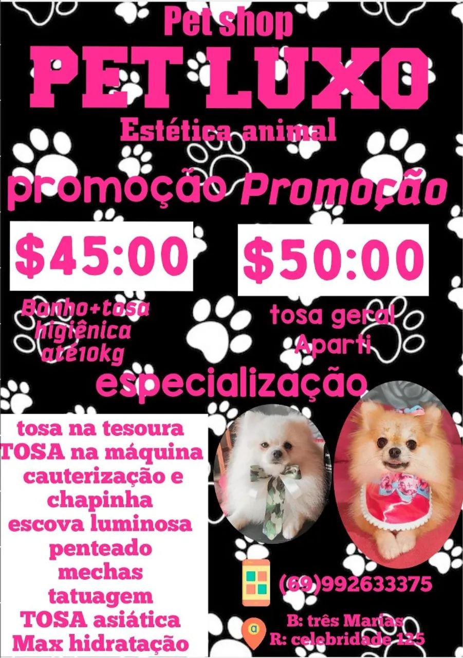Pet Shop - Promoção de Tosa - Foto 3