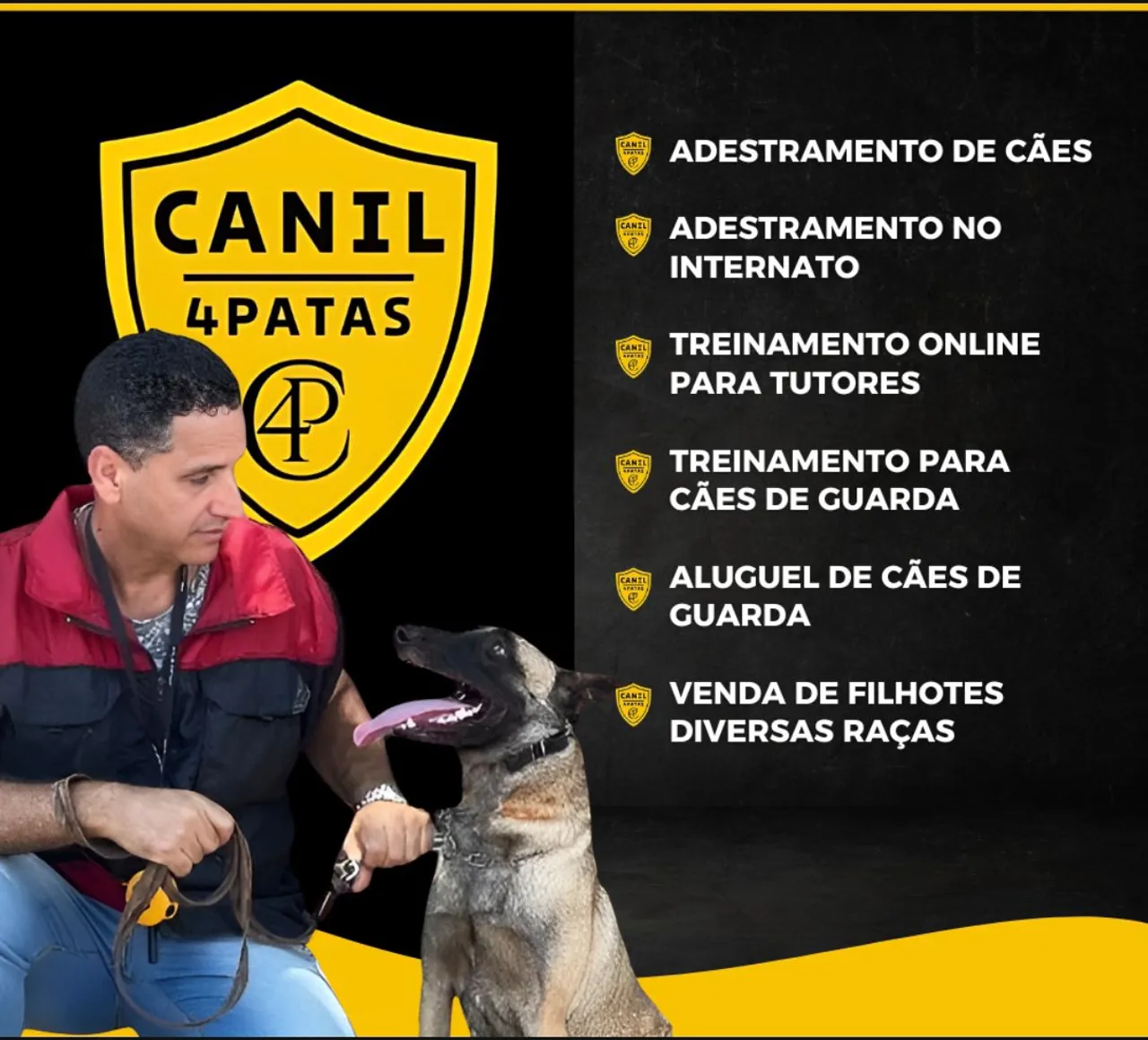 Canil 4 Patas: Adestramento e Venda de Filhotes