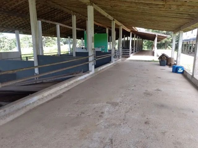 FAZENDO EM CAMAMU - 715 HECTARES - Foto 2