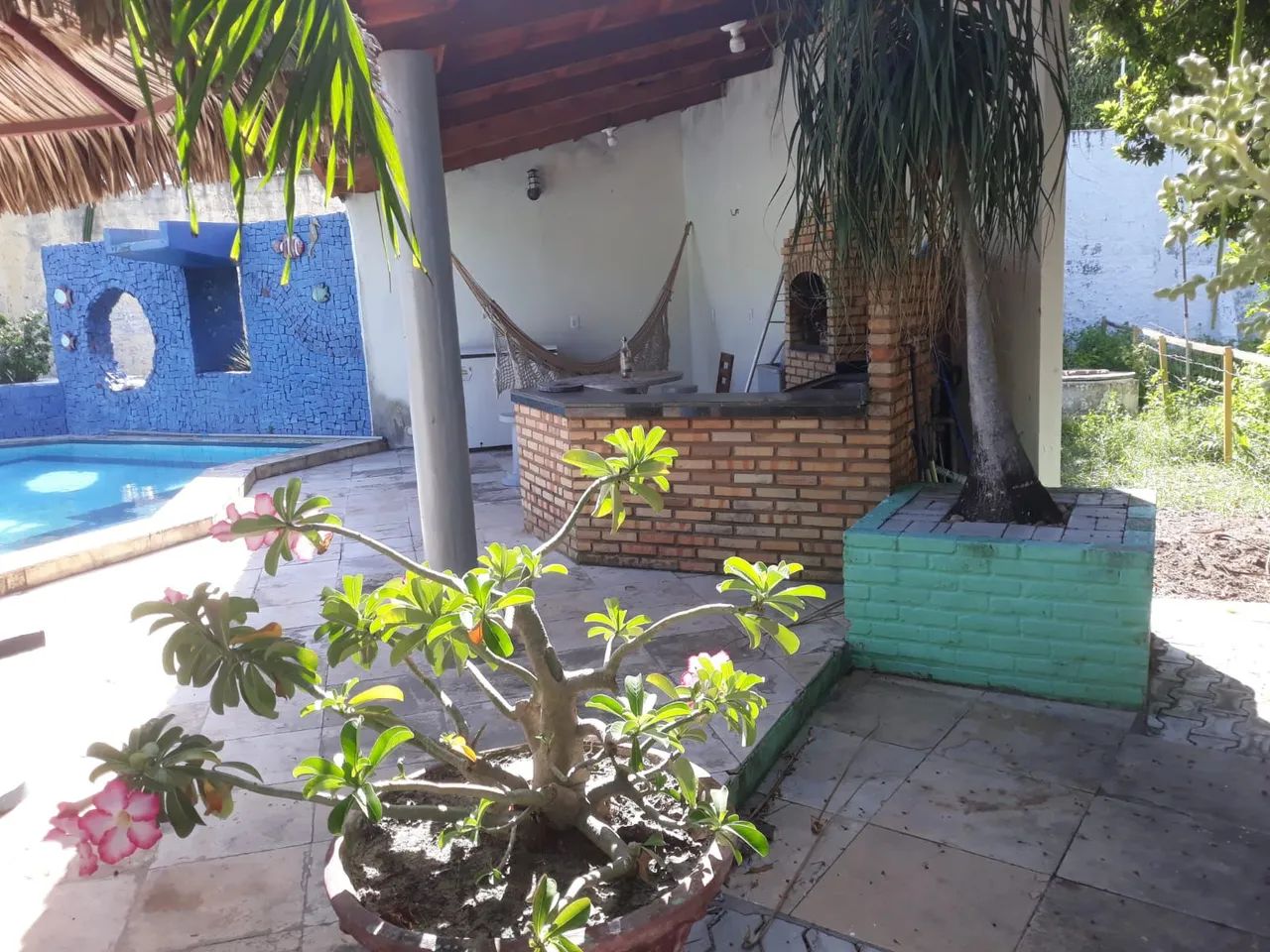 Sítio com casa e piscina em área verde - Foto 5