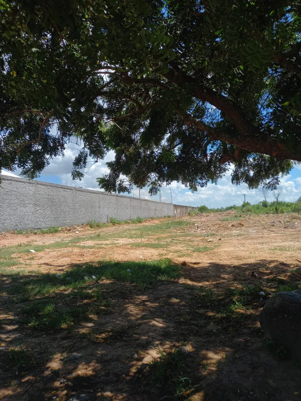 Imóvel para aluguel em Stella Maris