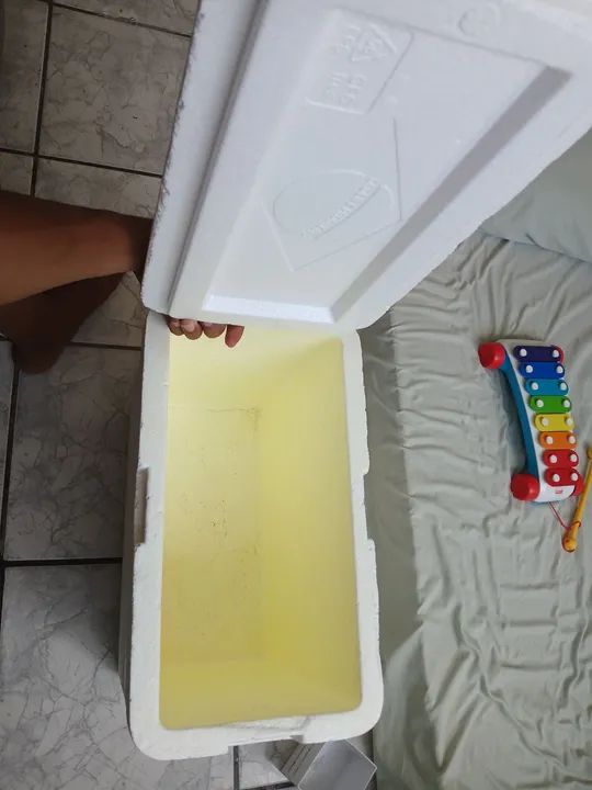 CAIXA ISOPOR 21L - Foto 2