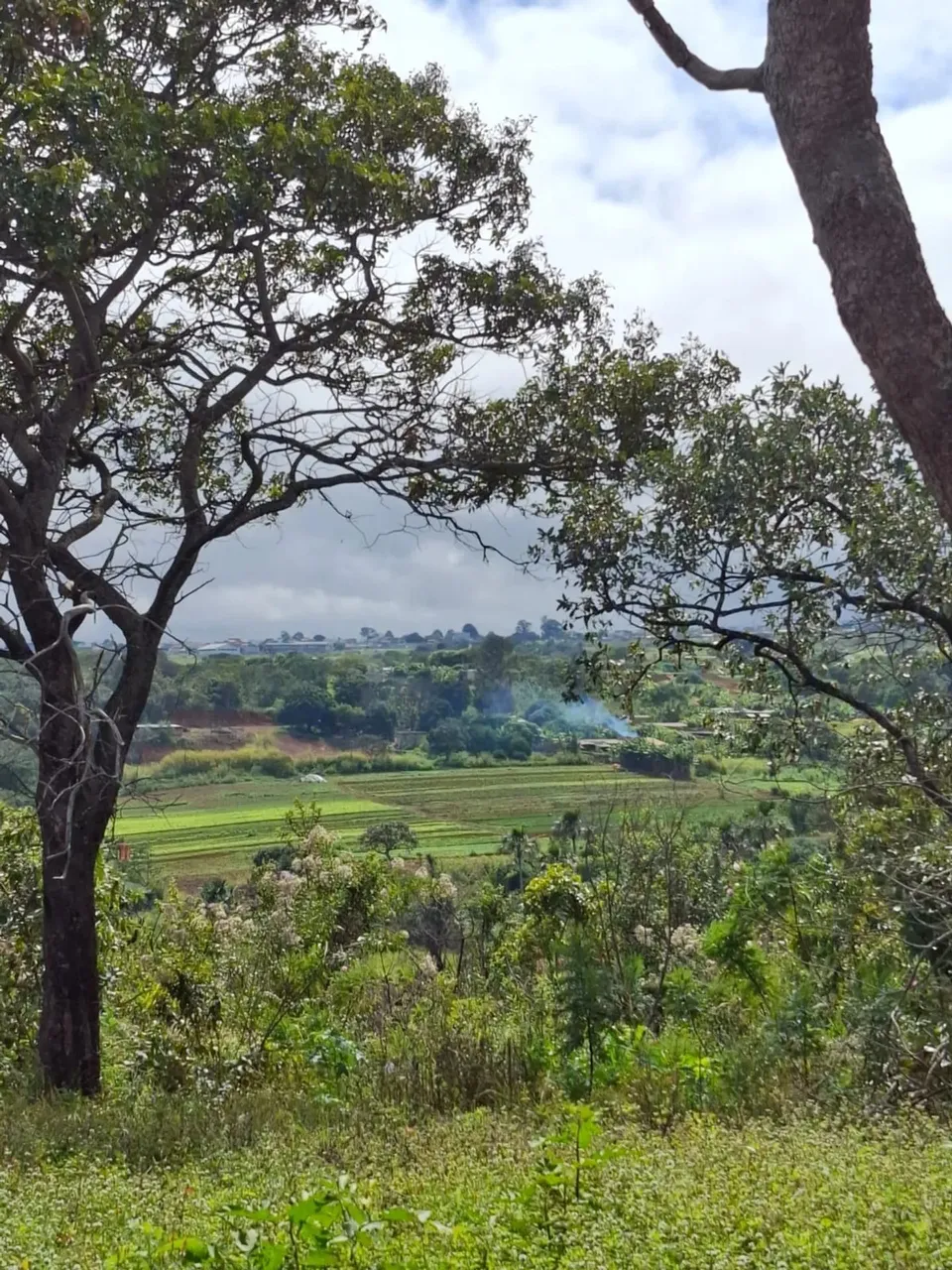 Só o filé; propriedade com aptidão total para ecoturismo e lazer, a âmbito comercial.