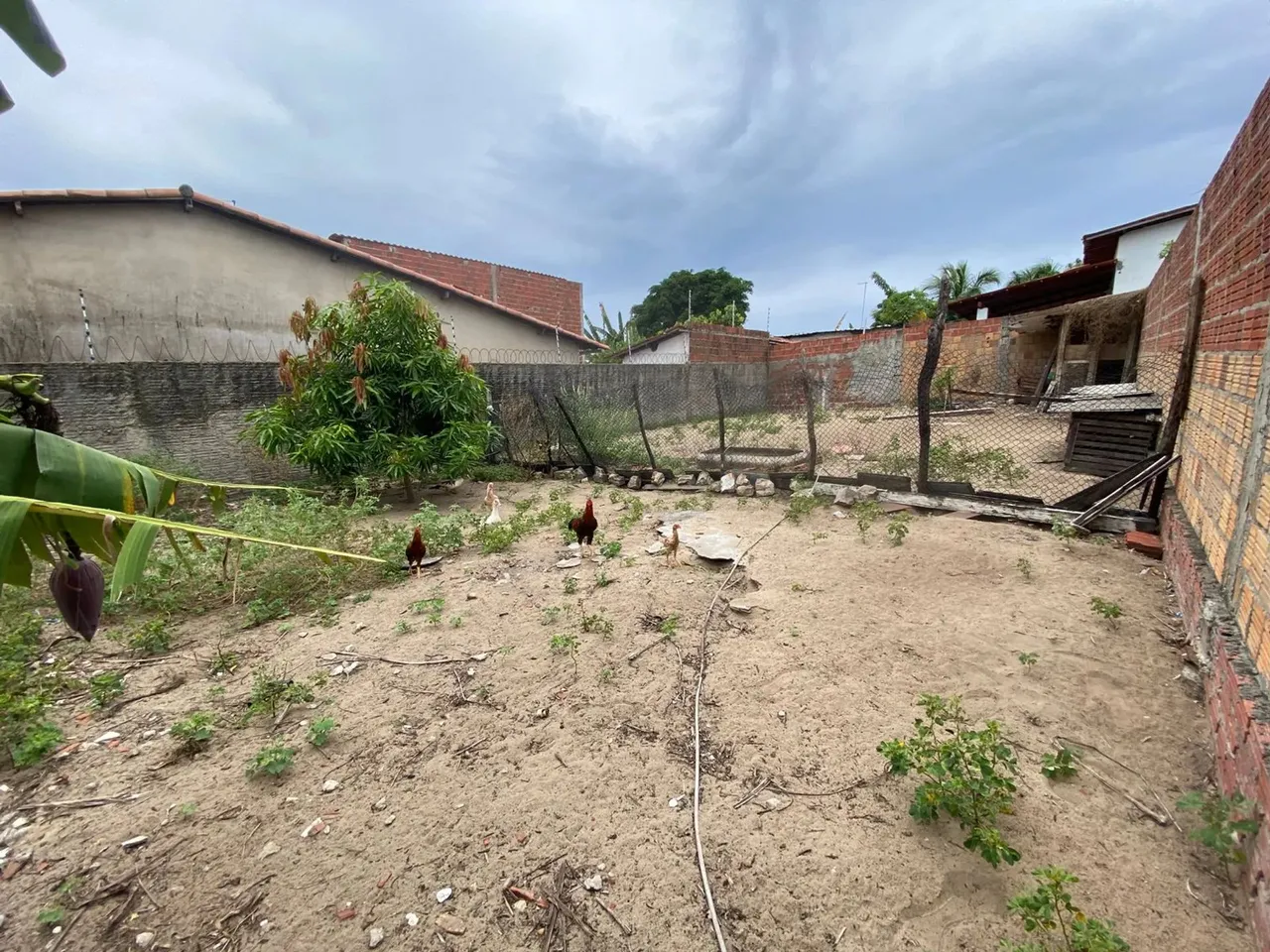 Imóvel para venda possui 250 metros quadrados em Pium (Distrito Litoral) - Parnamirim - RN