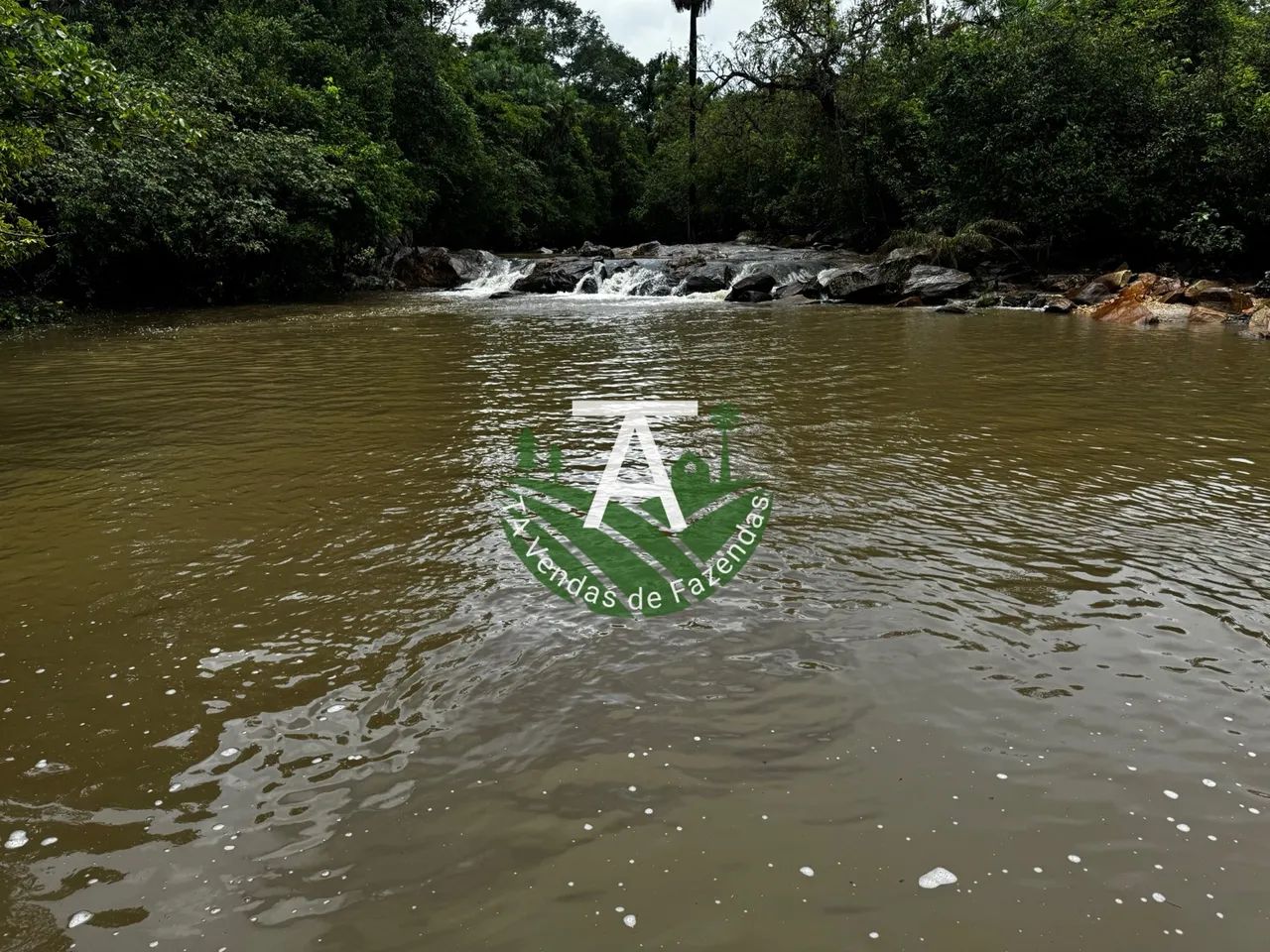 55 alqueires em Goias Velho - Foto 4