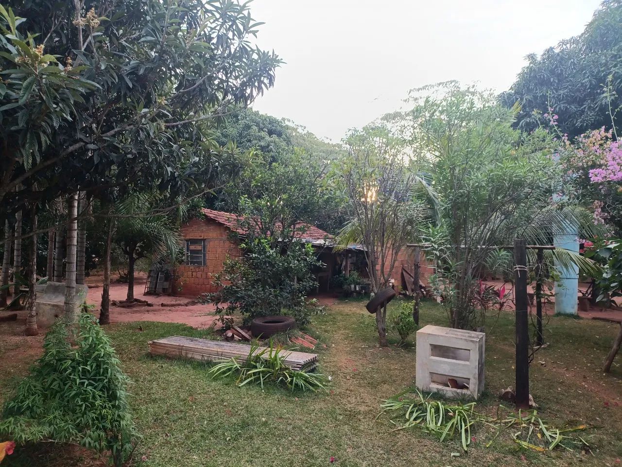 Vendo 500Mil - Foto 5