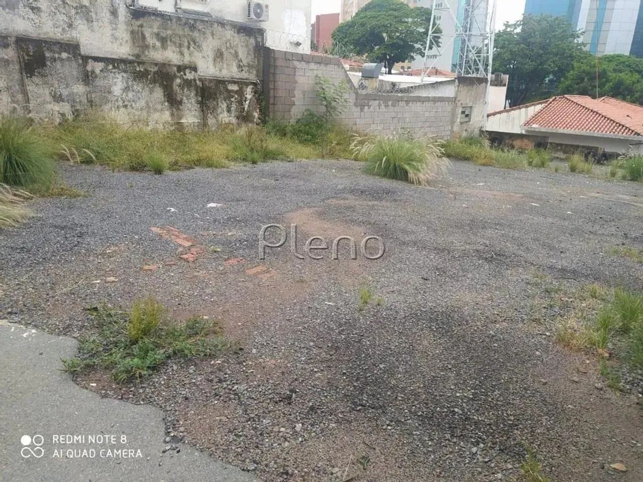 Terreno à venda no Cambuí, Campinas - Foto 2