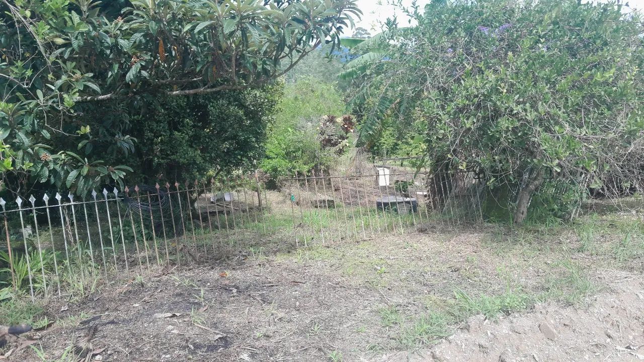 Chácara em Palhoça, 3.500m2 - Foto 5