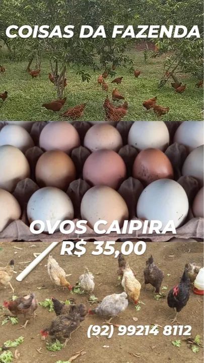 OVOS CAIPIRA - Frescos e saborosos!