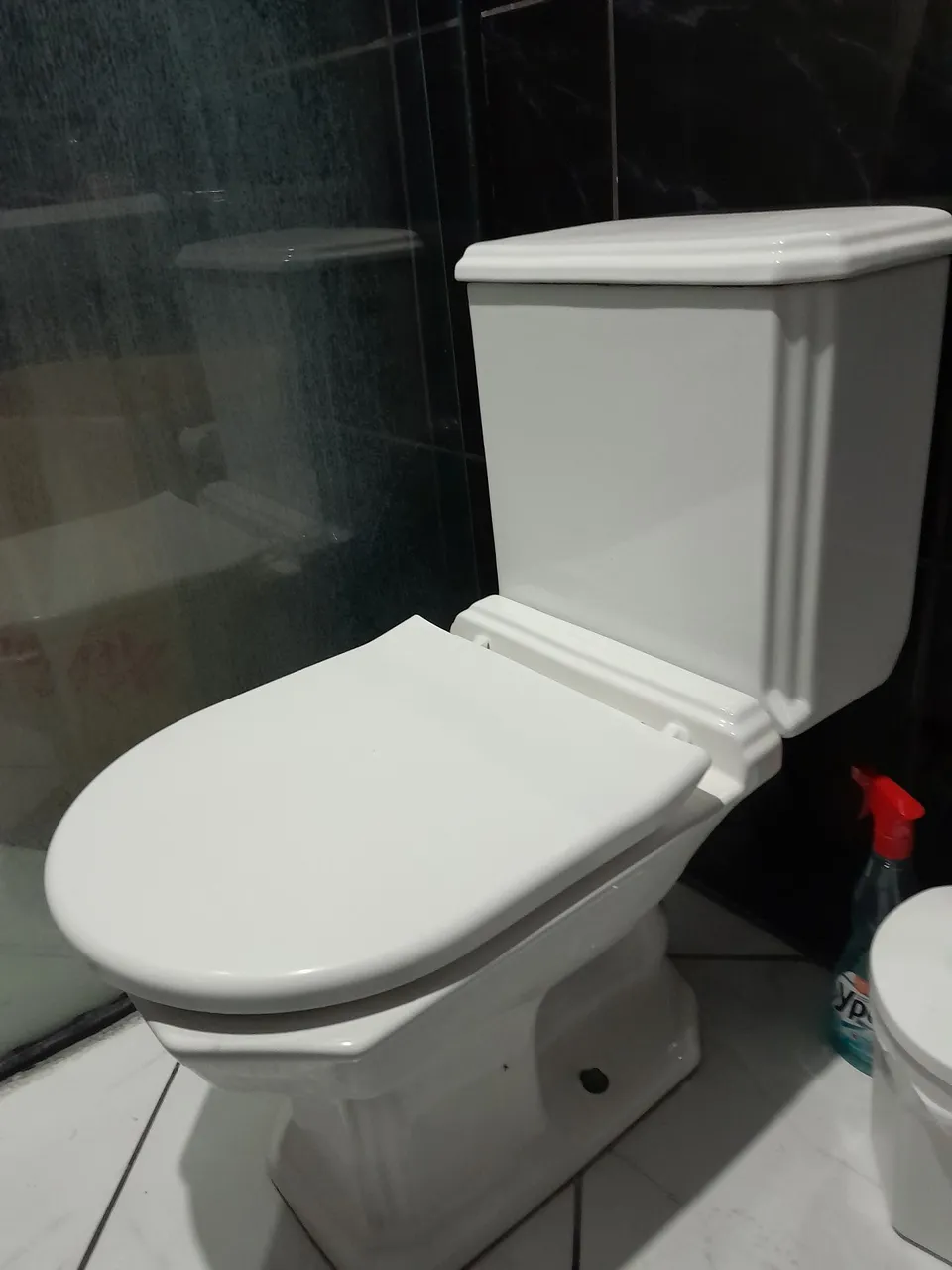 Vaso sanitário branco
