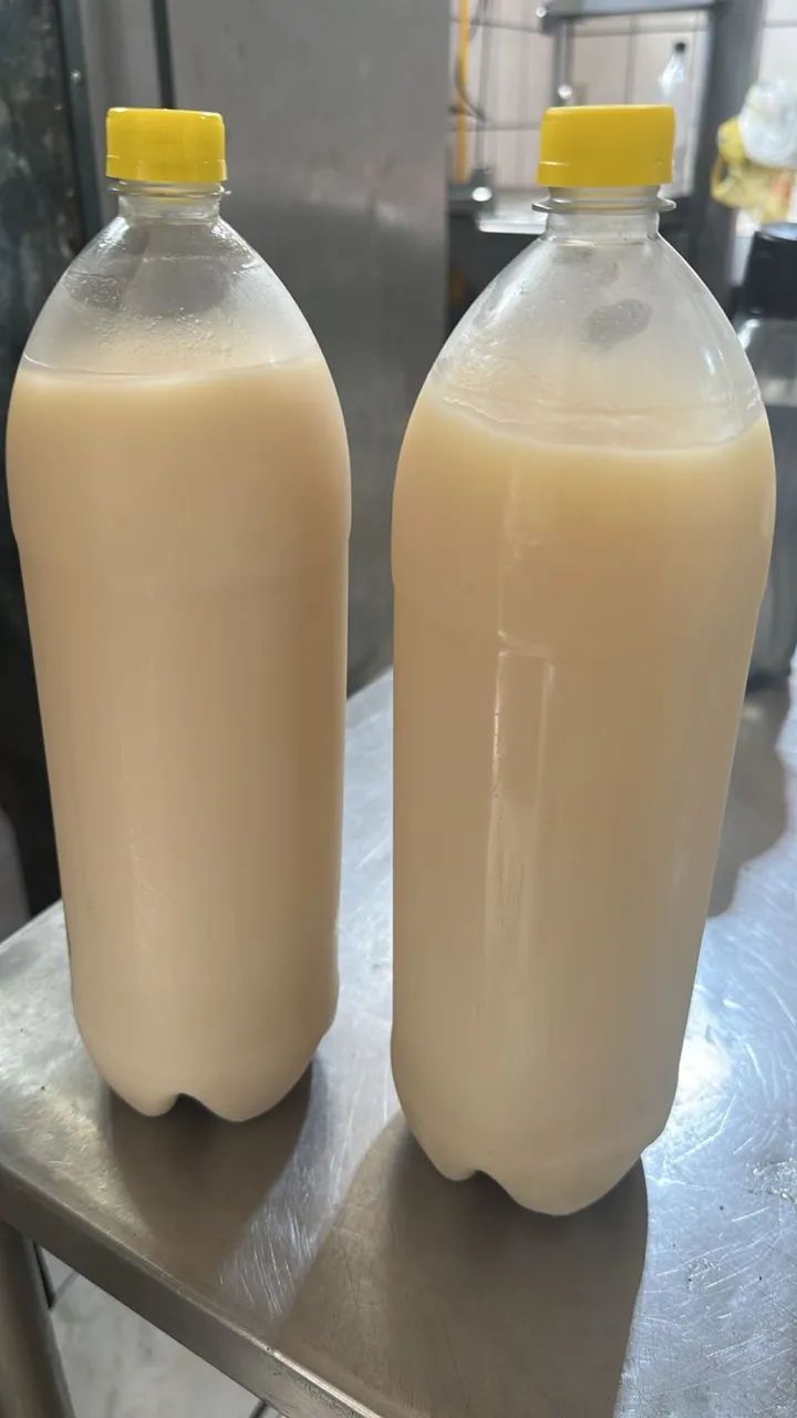 Banha de Porco64167771034370120