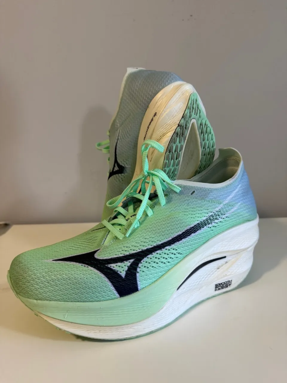 Mizuno Wave Rebellion Pro 3 
