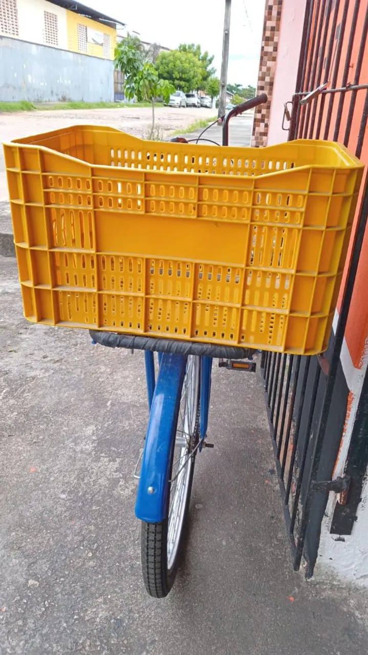 Bicicleta cargueira