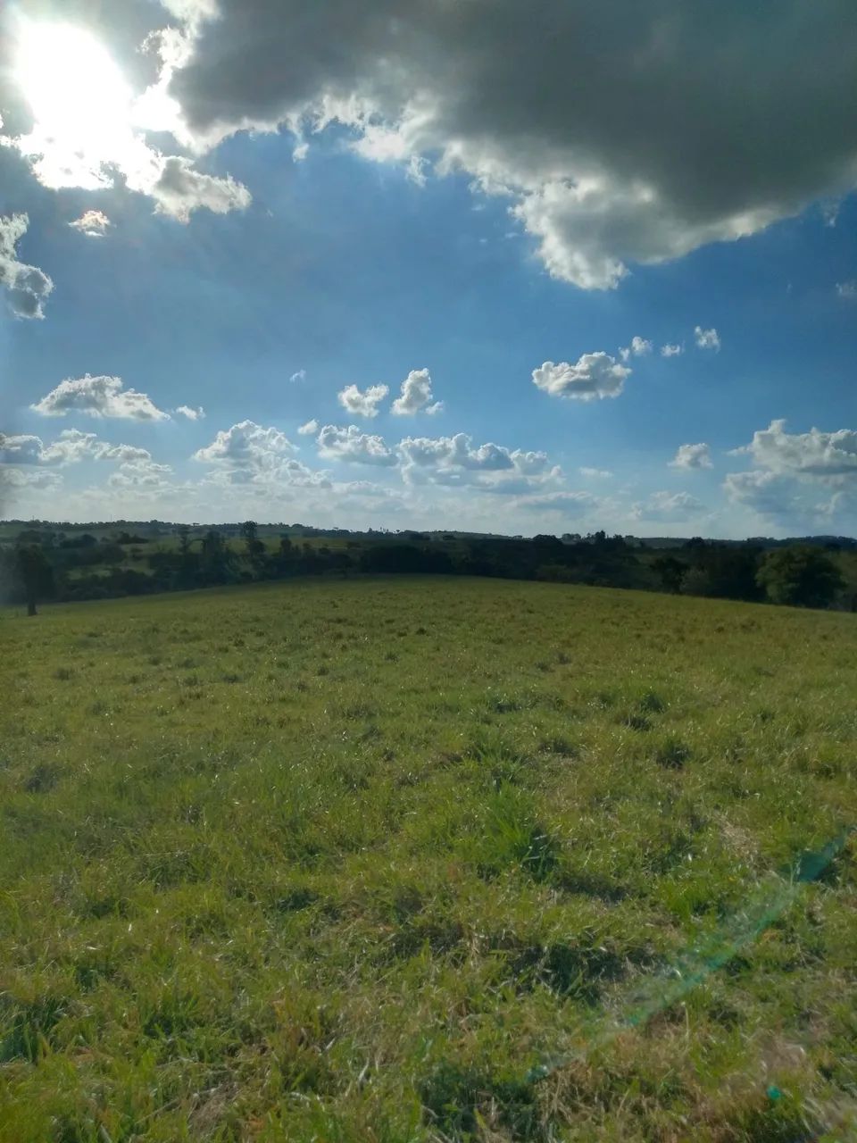 Sítio 6 alqueires em Pacaembu -SP - Foto 5