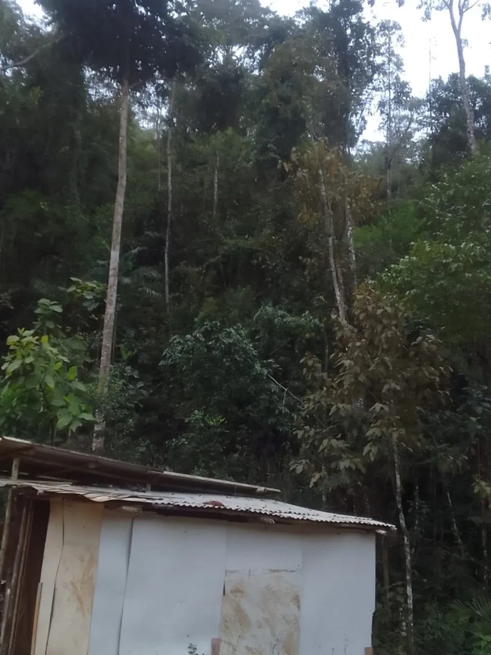 Vendo terreno com casa