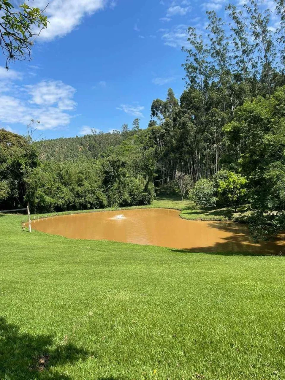 Terreno Ideal para Projetos e Investimento Figueiras/SP