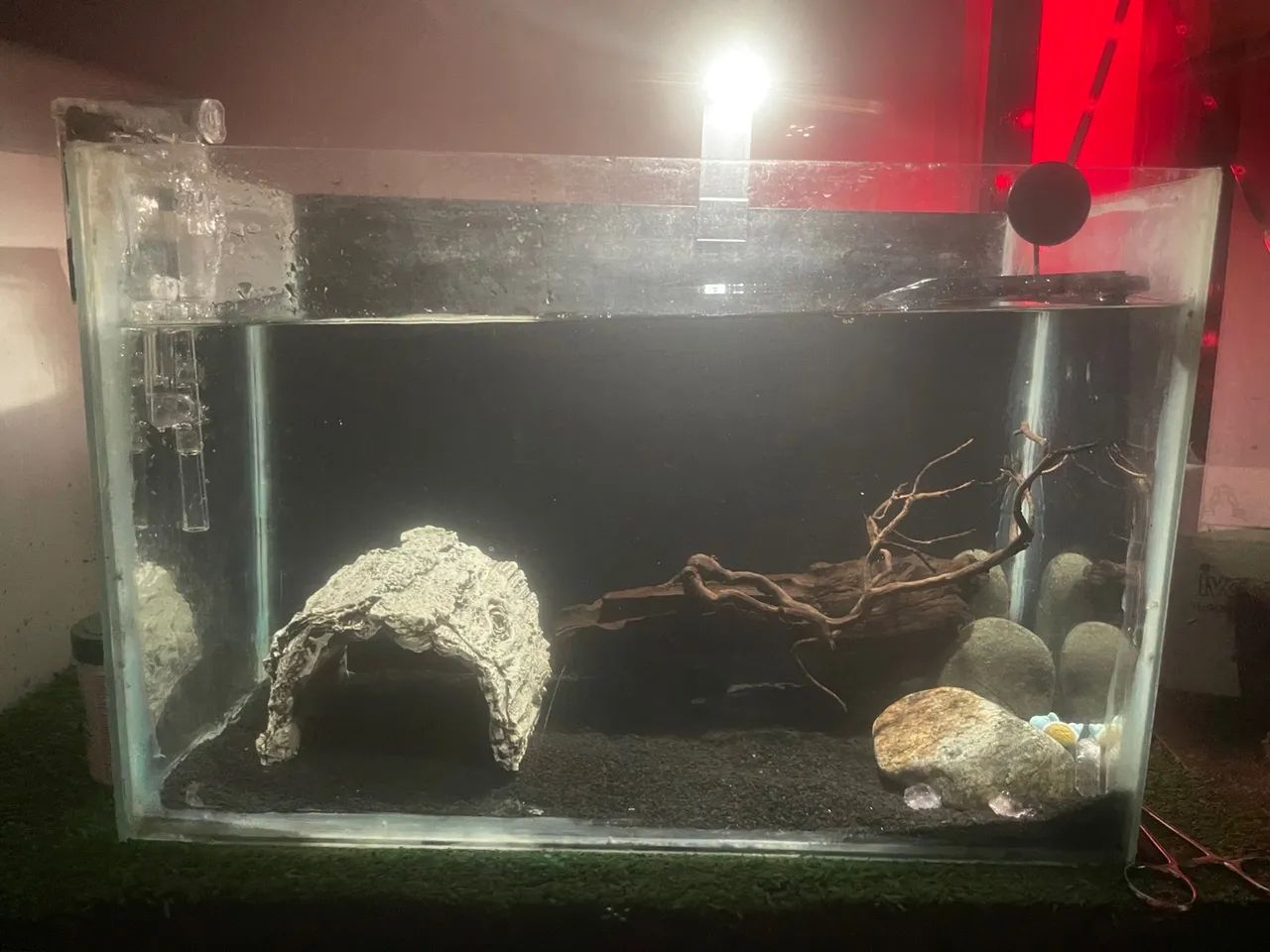 Aquário completo  - Foto 3
