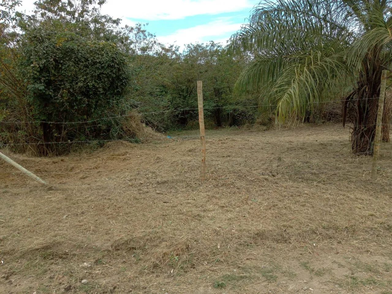 Vendo terreno em Seropédica km49 - Foto 2