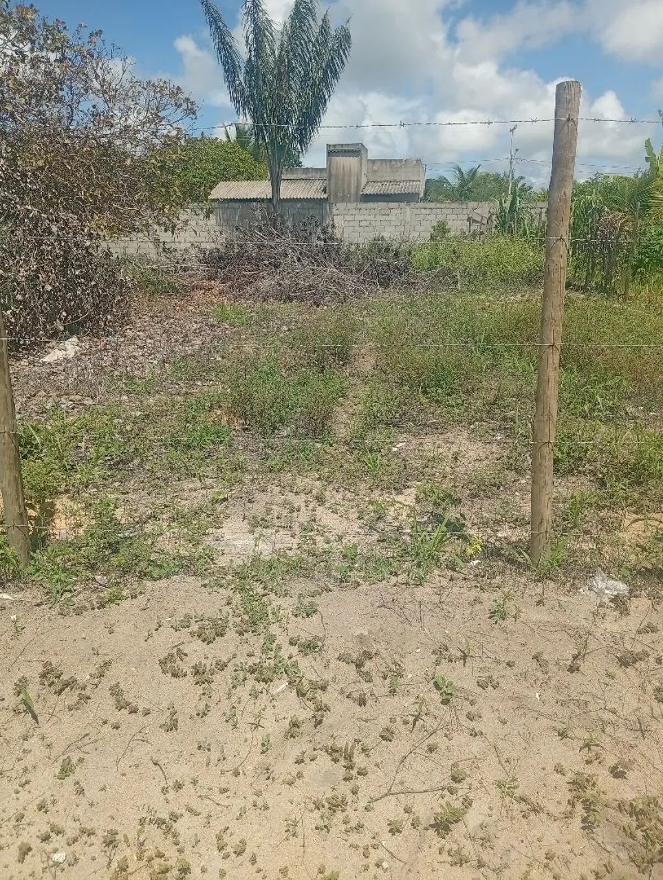 Terreno em Cabrália  - Foto 4