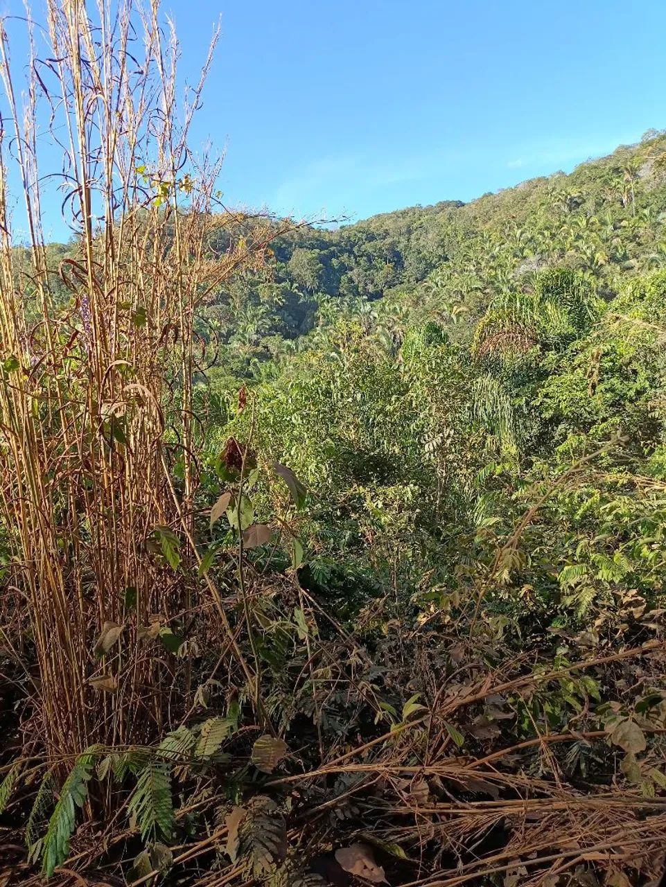 Chácara em taquaruçu  - Foto 5
