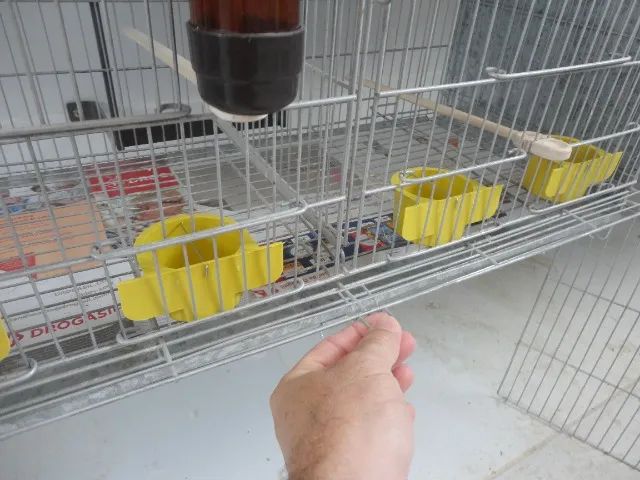 GAIOLA CRIADEIRA PARA CANÁRIOS DE COR E PORTE, AGOPORNIS, PERIQUITOS,ETC... - Foto 4